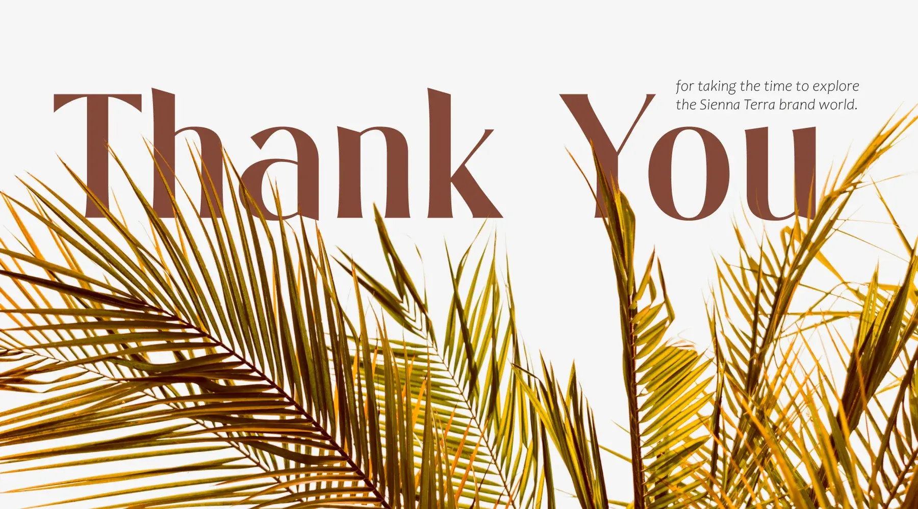 Thank you for taking the time to explore the Sienna Terra brand world, over golden palm fronds
