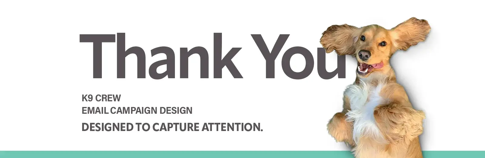 Thank you slide: K9 Crew email campaign design, designed to capture attention