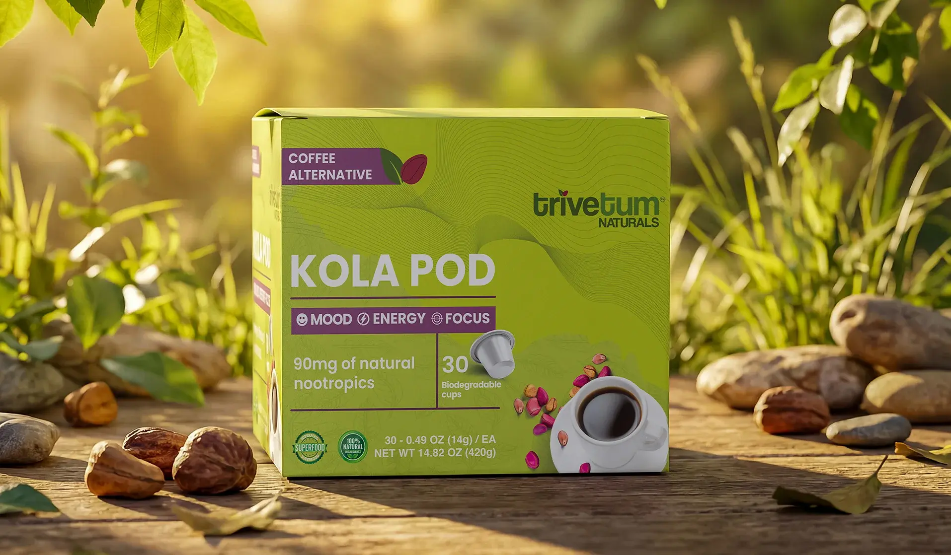 Kola Pod carton of 30 biodegradable cups photographed outdoors among kola nuts