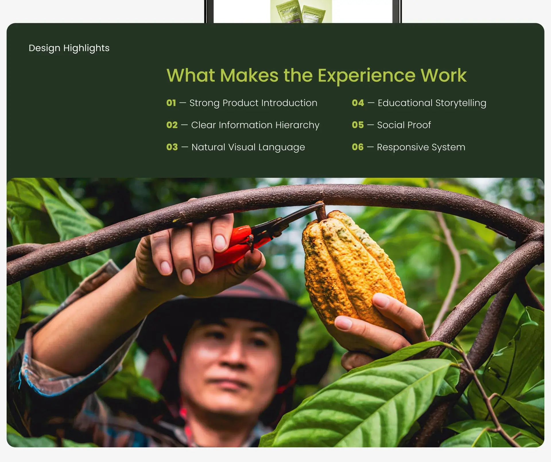 Design highlights slide over a cocoa harvest photo: strong product introduction, clear information hierarchy, natural visual language, educational storytelling, social proof and a responsive system
