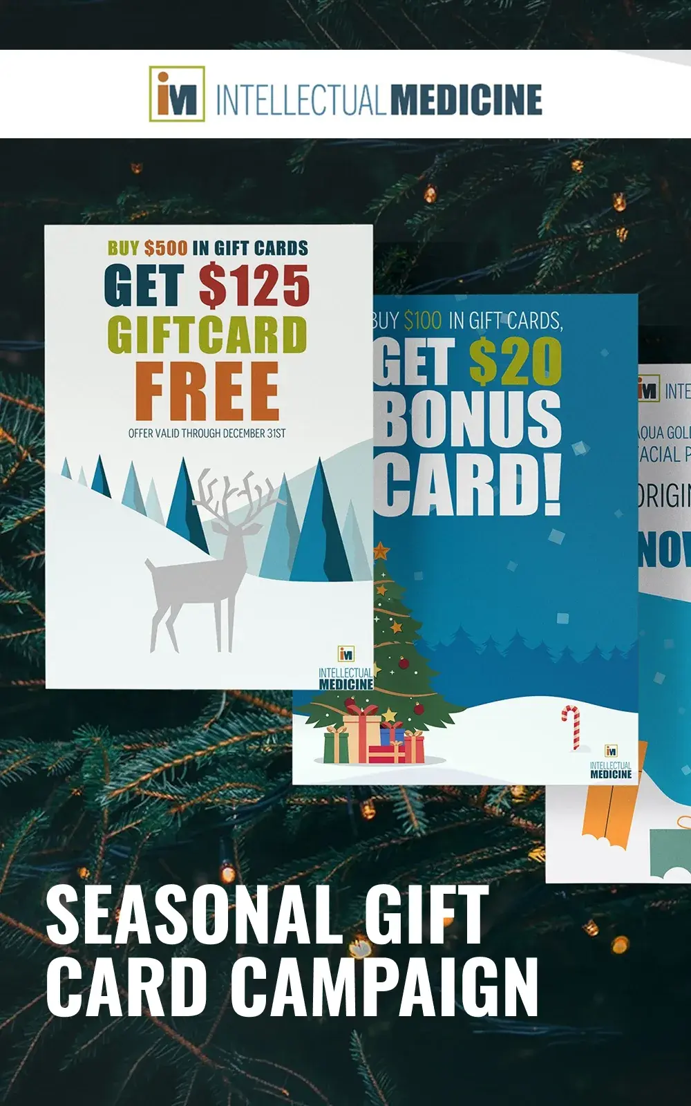 Intellectual Medicine Gift Card Campaign · Graphic & Digital Design case study cover